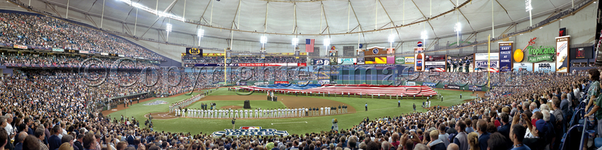 Tampa Bay Rays Panoramic Print - 2008 World Series