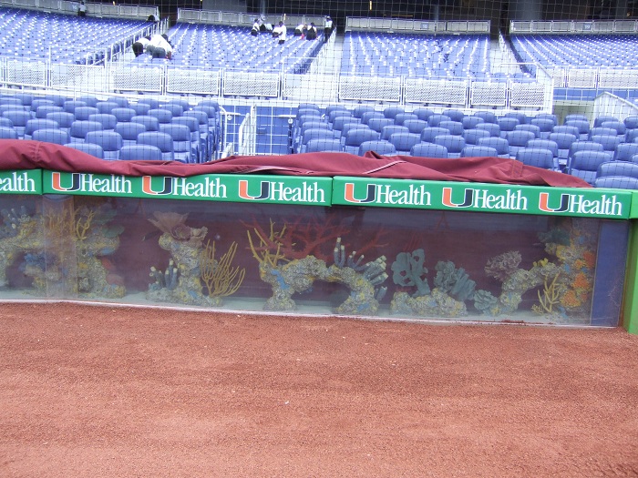 loanDepot park is the new home of the Marlins - Fish Stripes